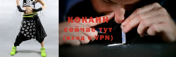 COCAINE Богородицк