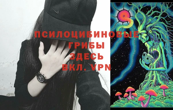 таблы Богородск