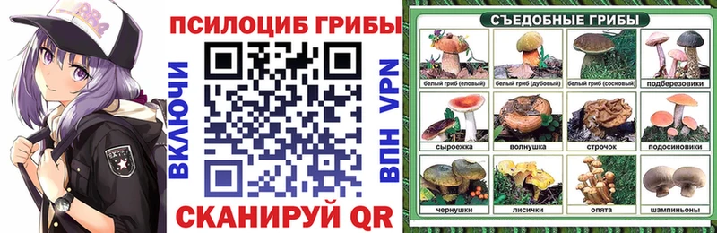 Галлюциногенные грибы Psilocybe  Нолинск 