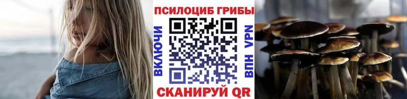 Галлюциногенные грибы Psilocybe Нолинск